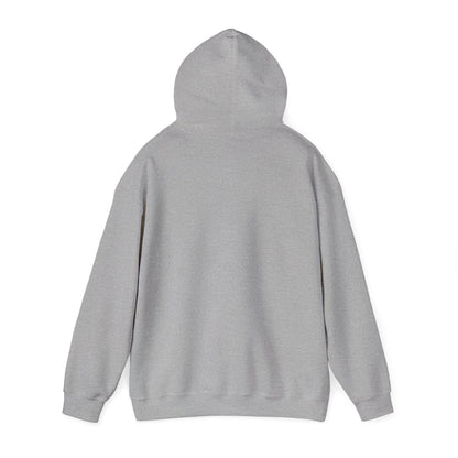 Sun Rays Hoodie Sweatshirt